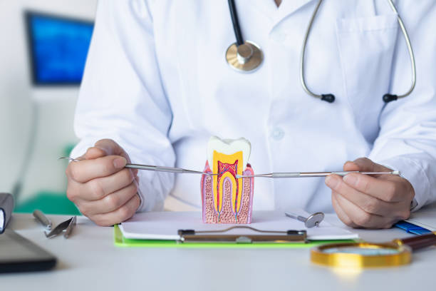 Best Emergency Dental Surgery in Kingston, RI